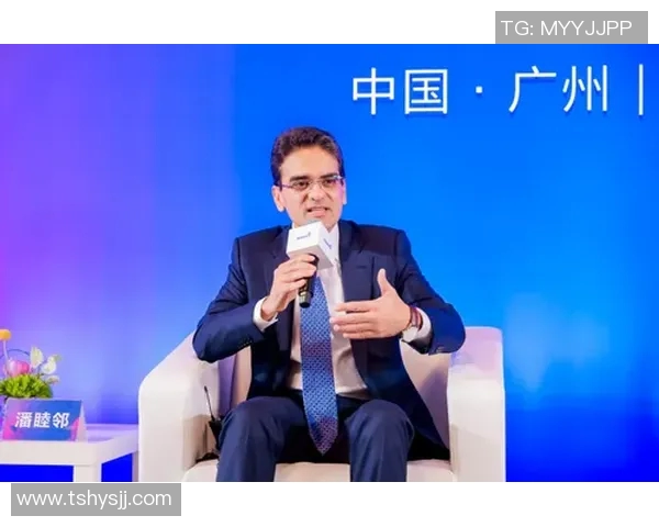 专访刘军揭秘英雄联盟成功背后的策略与创新之路